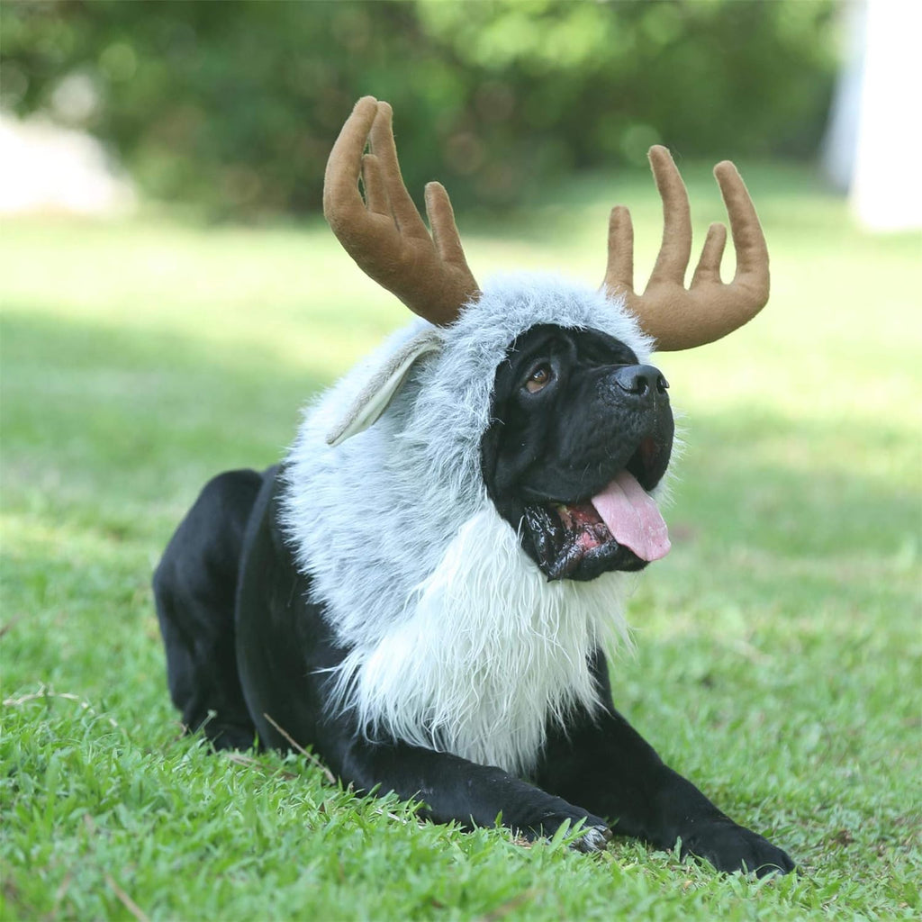 Magical Pet Unicorn Costume - FunMomCoolKid